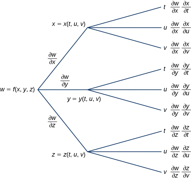 Un diagrama que comienza con w = f(x, y, z). A lo largo de la primera rama está escrito ∂w/∂x, luego x = x(t, u, v), en ese punto se divide en otras tres subramas: la primera subrama dice t y luego ∂w/∂x ∂x/∂t, la segunda dice u y luego ∂w/∂x ∂x/∂u y la tercera dice v y luego ∂w/∂x ∂x/∂v. A lo largo de la segunda rama está escrito ∂w/∂y, luego y = y(t, u, v), en ese punto se divide en otras tres subramas: la primera subrama dice t y luego ∂w/∂y ∂y/∂t, la segunda dice u y luego ∂w/∂y ∂y/∂u y la tercera dice v y luego ∂w/∂y ∂y/∂v. A lo largo de la tercera rama está escrito ∂w/∂z, luego z = z(t, u, v), en ese punto se divide en otras tres subramas: la primera subrama dice t y luego ∂w/∂z ∂z/∂t, la segunda dice u y luego ∂w/∂z ∂z/∂u y la tercera dice v y luego ∂w/∂z ∂z/∂v.