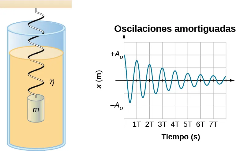 Una masa m está suspendida de un resorte vertical y sumergida en un fluido que tiene una viscosidad eta. Un gráfico de la oscilación amortiguada muestra el desplazamiento x en metros en el eje vertical como una función de tiempo en segundos en el eje horizontal. El rango de x es de menos A sub cero a más A sub cero. La escala de tiempo va de cero a 7 T, con tics en incrementos de T. El desplazamiento es más A sub cero en el tiempo cero y oscila entre máximos positivos y mínimos negativos, con cada ciclo completo tomando el mismo tiempo T, pero la amplitud de las oscilaciones disminuye con el tiempo.