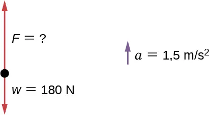 La figura muestra un diagrama de cuerpo libre con el vector w igual a 180 newtons que apunta hacia abajo y el vector F de magnitud desconocida apunta hacia arriba. La aceleración a es igual a 1,5 metros por segundo al cuadrado.