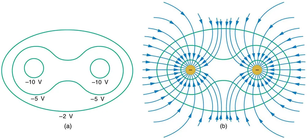 Figure (a) shows two circles, called equipotential lines, along which the potential is negative ten volts. A dumbbell-shaped surface encloses the two circles and is labeled negative five volts. This surface is surrounded by another surface labeled negative two volts. Figure (b) shows the same equipotential lines, each set with a negative charge at its center. Blue electric field lines curve toward the negative charges from all directions.