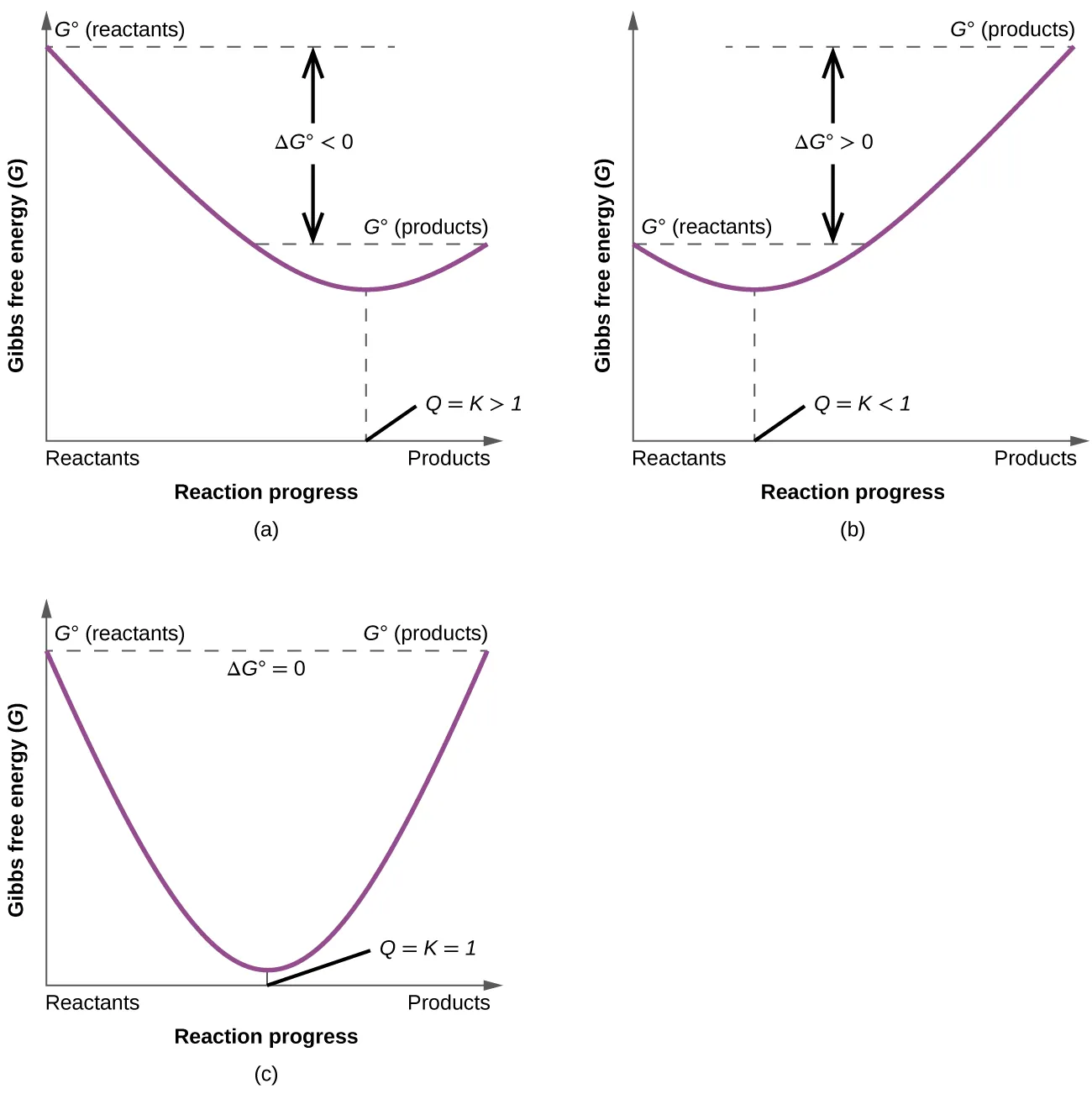 Three graphs, labeled, “a,” “b,” and “c” are shown where the y-axis is labeled, “Gibbs free energy ( G ),” and, “G superscript degree sign ( reactants ),” while the x-axis is labeled, “Reaction progress,” and “Reactants,” on the left and, “Products,” on the right. In graph a, a line begins at the upper left side and goes steadily down to a point about halfway up the y-axis and two thirds of the way on the x-axis, then rises again to a point labeled, “G superscript degree sign ( products ),” that is slightly higher than halfway up the y-axis. The distance between the beginning and ending points of the graph is labeled as, “delta G less than 0,” while the lowest point on the graph is labeled, “Q equals K greater than 1.” In graph b, a line begins at the middle left side and goes steadily down to a point about two fifths up the y-axis and one third of the way on the x-axis, then rises again to a point labeled, “G superscript degree sign ( products ),” that is near the top of the y-axis. The distance between the beginning and ending points of the graph is labeled as, “delta G greater than 0,” while the lowest point on the graph is labeled, “Q equals K less than 1.” In graph c, a line begins at the upper left side and goes steadily down to a point near the bottom of the y-axis and half way on the x-axis, then rises again to a point labeled, “G superscript degree sign ( products ),” that is equal to the starting point on the y-axis which is labeled, “G superscript degree sign ( reactants ).” The lowest point on the graph is labeled, “Q equals K equals 1.” At the top of the graph is the label, “Delta G superscript degree sign equals 0.”