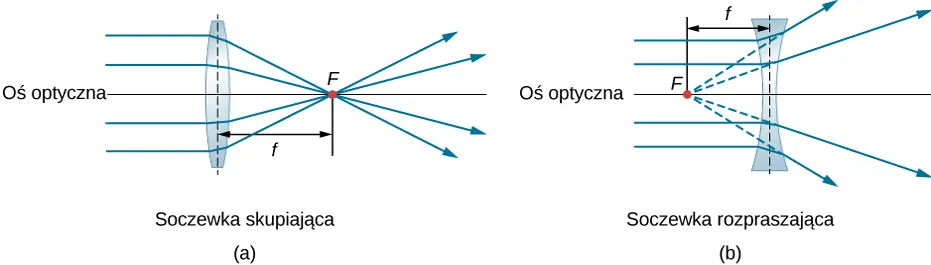 Figura a pokazuje promienie biegnące równolegle do osi optycznej, padające na soczewkę dwuwypukłą i skupiające się w punkcie F. Figura b pokazuje promienie biegnące równolegle do osi optycznej, padające na dwuwklęsłą soczewkę i skupiające się w punkcie leżącym za soczewką. Przedłużenia promieni wydają się wychodzić z punktu F leżącego przed soczewką. Na obu rysunkach odległość od środka soczewki do punktu F jest oznaczona jako f.