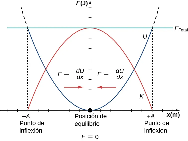 Gráfico de la energía E en julios en el eje vertical versus posición x en metros en el eje horizontal. El eje horizontal tenía x = 0 identificado como la posición de equilibrio con F = 0. Las posiciones x = –A y x = +A se identifican como puntos de inflexión. Una parábola cóncava hacia abajo en rojo, identificada como K, tiene su valor máximo de E = E total en x = 0 y es cero en x = –A y x = +A. Una línea verde horizontal en un valor constante de E total identificada como E total. Una parábola cóncava hacia arriba en azul, identificada como U, interseca la línea verde con un valor de E = E total en x = –A y x = +A y es cero en x = 0. La región del gráfico a la izquierda de x = 0 está identificada con una flecha roja que señala a la derecha y la ecuación F es igual a menos la derivada de U con respecto a x. La región del gráfico a la derecha de x = 0 está identificada con una flecha roja que señala a la izquierda y la ecuación F es igual a menos la derivada de U con respecto a x.