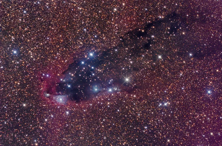 Cloud of Gas and Dust. Photograph of a small portion of the constellation Scorpius, showing dark dust clouds, numerous bright stars and a red emission nebula (at center).