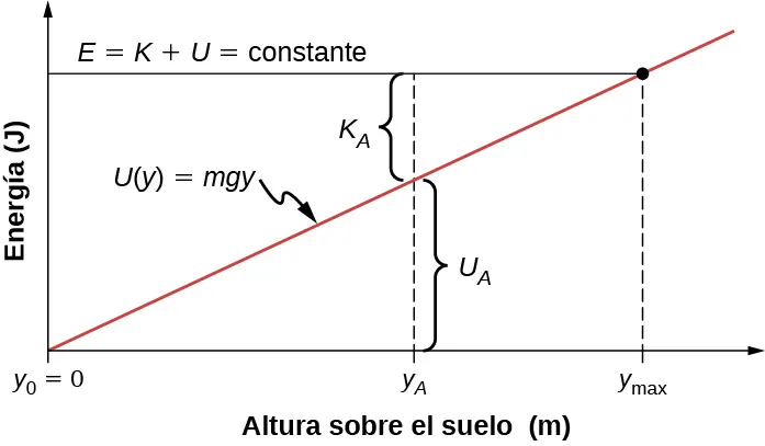 La energía, en unidades de julios, se representa en función de la altura sobre el suelo en metros. El gráfico de la energía potencial U es una línea roja recta que pasa por el origen, donde y sub cero es igual a cero. La ecuación de la recta viene dada como U de y es igual a m g y. El gráfico de la energía total E que es igual a K más U es una constante, que aparece como una línea negra horizontal. La altura sobre el suelo en la que se cruzan los gráficos E y U es y sub máx. La energía entre la línea roja U y el eje horizontal es U sub A. La energía entre la línea roja U de y y la línea negra E es K sub A.