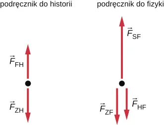 Pokazane są dwa swobodne diagramy. Pierwszy z nich ma siłę F ze znakiem ph skierowaną ku górze oraz F ze znakiem eh skierowaną w dół. Drugi posiada siłę F ze znakiem dp wskazującą w górę oraz siłę F ze znakiem hp i siłę F ze znakiem ep skierowaną w dół.