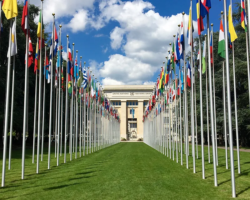 Two rows of flags from different nations, with an aisle of grass between them, leading to the entrance of a large stone building with two columns visible in the front.