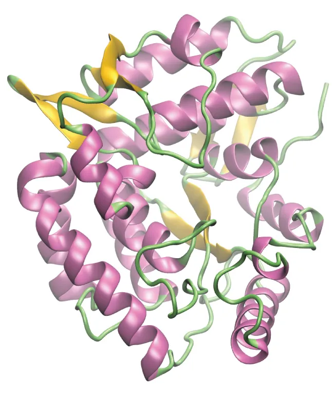 Esta figura consiste en una imagen computarizada de una molécula de enzima con componentes estructurales en forma de cuerda y cinta rizada en tonos morados, verdes y amarillos.