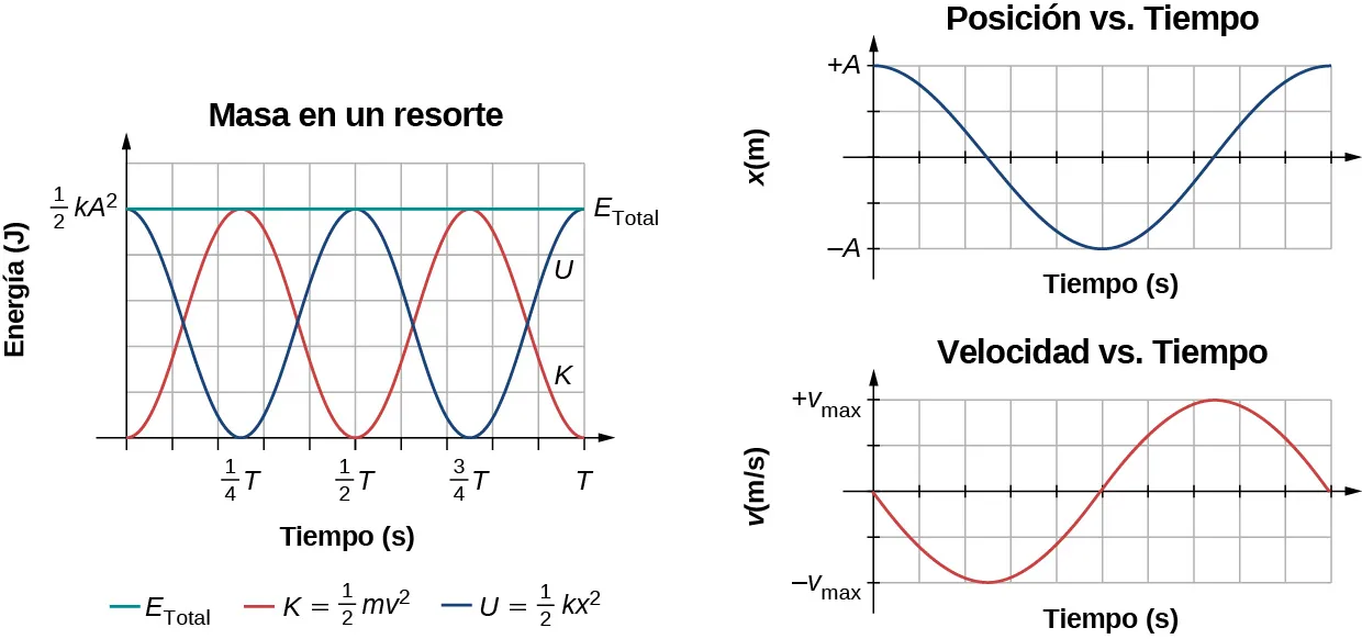 Gráficos de la energía, la posición y la velocidad como funciones de tiempo para una masa sobre un resorte. A la izquierda está el gráfico de la energía en julios (J) versus el tiempo en segundos. El rango del eje vertical es de cero a la mitad de k A al cuadrado. El rango del eje horizontal es de cero a T. Se muestran tres curvas. La energía total E subtotal se muestra como una línea verde. La energía total es una constante con un valor de la mitad de k A al cuadrado. La energía cinética K es igual a la mitad de m v al cuadrado y se muestra como una curva roja. K comienza con energía cero en t = 0 y se eleva a un valor máximo de la mitad de k A al cuadrado en el tiempo 1/4 T, luego disminuye a cero en 1/2 T, se eleva a la mitad de k A al cuadrado en 3/4 T y es cero de nuevo en T. La energía potencial U igual a la mitad de k x al cuadrado se muestra como una curva azul. U comienza con una energía máxima de la mitad de k A al cuadrado en t = 0, disminuye a cero en 1/4 T, sube a la mitad de k A al cuadrado en 1/2 T, es cero de nuevo en 3/4 T y está en el máximo de la mitad de k A al cuadrado de nuevo en t = T. A la derecha hay un gráfico de posición versus tiempo sobre un gráfico de velocidad versus tiempo. El gráfico de posición tiene x en metros, que van de –A a +A, versus el tiempo en segundos. La posición está en +A y disminuye en t = 0, alcanza un mínimo de –A, luego sube a +A. El gráfico de velocidad tiene v en m/s, que va de menos v sub máx. a más v sub máx., versus tiempo en segundos. La velocidad es cero y decreciente en t = 0, y alcanza un mínimo de menos v sub máx. al mismo tiempo que el gráfico de posición es cero. La velocidad vuelve a ser cero cuando la posición está en x = –A, sube a más v sub máx. cuando la posición es cero y v = 0 al final del gráfico, donde la posición vuelve a ser máxima.