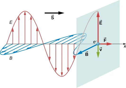 Una onda electromagnética se propaga en la dirección x positiva. Su campo eléctrico se muestra como una onda sinusoidal en el plano xy y el campo magnético se muestra como una onda sinusoidal en el plano xz. Un vector S apunta en la dirección de propagación. En el eje x se muestra un electrón. De aquí parten cuatro vectores. El vector E apunta en la dirección y positiva, el vector B apunta en la dirección z positiva, el vector F apunta en la dirección x positiva y el vector v apunta en la dirección y negativa. E y B tienen la misma longitud. F y v tienen la misma longitud y son más pequeños que los otros dos.