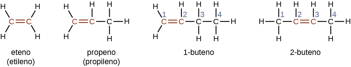 Se muestran cuatro fórmulas estructurales y nombres. La primera muestra dos átomos de C rojos conectados por un doble enlace rojo ilustrado con dos segmentos de línea paralelos. Los átomos de H están enlazados por encima y por debajo a la izquierda del átomo de C más a la izquierda. Otros dos átomos de H están enlazados de forma similar a la derecha del átomo de C de la derecha. Debajo de esta estructura se muestra el nombre de eteno y el nombre alternativo de etileno. La segunda muestra tres átomos de C enlazados entre sí con un doble enlace rojo entre el primer y el segundo átomo de C rojo que se mueve de izquierda a derecha a través de la cadena de tres carbonos. Los átomos de H están enlazados por encima y por debajo a la izquierda del átomo de C a la izquierda. Un solo H está enlazado por encima del átomo C del medio. Otros tres átomos de H están enlazados por encima, por debajo y a la derecha del tercer átomo de C. Debajo de esta estructura se muestra el nombre propeno y el nombre alternativo propileno. La tercera muestra cuatro átomos de C enlazados entre sí, numerados del uno al cuatro, moviéndose de izquierda a derecha, con un doble enlace rojo entre el primer y el segundo carbono de la cadena. Los átomos de H están enlazados por encima y por debajo a la izquierda del átomo de C a la izquierda. Un solo H está enlazado por encima del segundo átomo de C. Los átomos de H están enlazados por encima y por debajo del tercer átomo de C. Otros tres átomos de H están enlazados por encima, por debajo y a la derecha del cuarto átomo de C. Debajo de esta estructura aparece el nombre 1-buteno. La cuarta muestra cuatro átomos de C enlazados entre sí, numerados del uno al cuatro, de izquierda a derecha, con un doble enlace rojo entre el segundo y el tercer átomo de C de la cadena. Los átomos de H están enlazados por encima, por debajo y a la izquierda del átomo de C más a la izquierda. Un solo átomo de H está enlazado por encima del segundo átomo de C. Un solo átomo de H está enlazado por encima del tercer átomo de C. Otros tres átomos de H están enlazados por encima, por debajo y a la derecha del cuarto átomo de C. Debajo de esta estructura aparece el nombre 2-buteno.