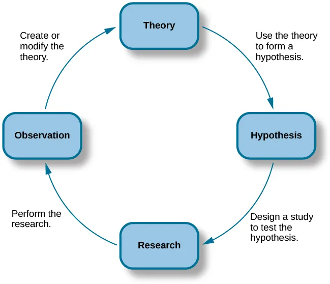 A diagram has four boxes: the top is labeled “theory,” the right is labeled “hypothesis,” the bottom is labeled “research,” and the left is labeled “observation.” Arrows flow in the direction from top to right to bottom to left and back to the top, clockwise. The top right arrow is labeled “use the hypothesis to form a theory,” the bottom right arrow is labeled “design a study to test the hypothesis,” the bottom left arrow is labeled “perform the research,” and the top left arrow is labeled “create or modify the theory.”