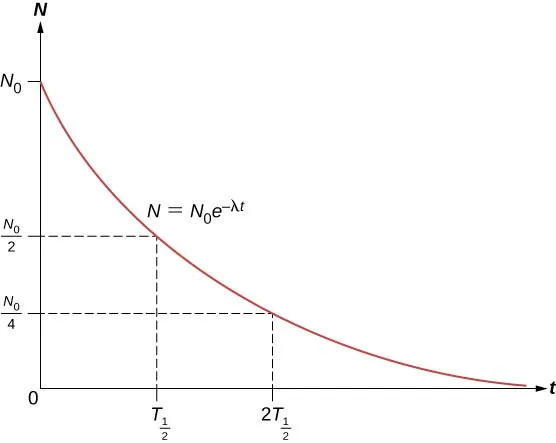 Wykres wykładniczej zależności N od t. Krzywa na wykresie opisana jest wzorem N równa się N z indeksem 0 razy exp(-lambda t). Wartość N jest największa, równa N z indeksem 0, dla t = 0, a następnie zmniejsza się, dążąc asymptotycznie do 0. W chwili t = T z indeksem 1/2 zachodzi N = N z indeksem 0 przez dwa, a w t = 2T indeks 1/2 N = N indeks 0 przez 4.