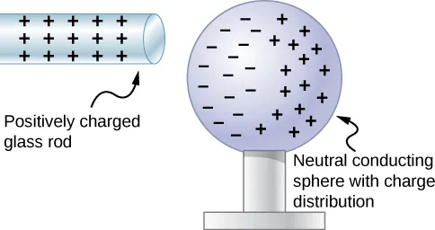 A microscopic view of polarization is shown. A positively charged glass rod with positive signs is close to a neutral conducting sphere with a charge distribution. The negative charges on the sphere are on the side near the rod and positive charges are on the side opposite from the rod.