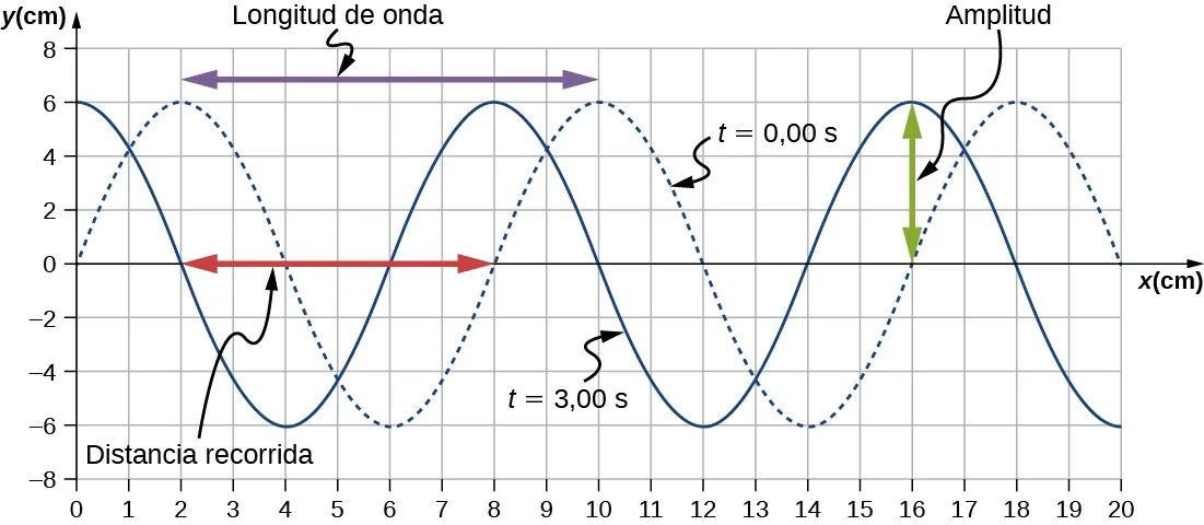La figura muestra dos ondas transversales cuyos valores y varían de –6 cm a 6 cm. Una onda, marcada con t = 0 segundos se muestra como una línea punteada. Tiene crestas en x iguales a 2, 10 y 18 cm. La otra onda, marcada con t = 3 segundos, se muestra como una línea sólida. Tiene crestas en x iguales a 0, 8 y 16 cm. La distancia horizontal entre dos crestas consecutivas está identificada como longitud de onda. Esto es desde x = 2 cm hasta x = 10 cm. La distancia vertical desde la posición de equilibrio hasta la cresta está identificada como amplitud. Esto es desde y = 0 cm hasta y = 6 cm. La flecha roja indica la distancia recorrida. Esto es desde x = 2 cm hasta x = 8 cm.