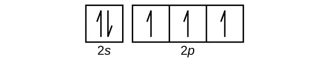 Esta figura incluye un cuadrado seguido de 3 cuadrados conectados en una sola fila. El primer cuadrado está etiquetado abajo como "2 s". Los cuadrados conectados se etiquetan abajo como "2 p". El primer cuadrado tiene un par de medias flechas: una apunta hacia arriba y la otra hacia abajo. Cada uno de los cuadrados restantes contiene una sola flecha que apunta hacia arriba.