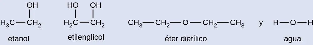 Se muestran cuatro estructuras de Lewis. La primera estructura, marcada como "etanol", muestra un carbono unido a tres átomos de hidrógeno que está unido con enlace simple a un segundo carbono que está unido a dos átomos de hidrógeno y a un grupo hidroxilo. La segunda estructura, marcada como "etilenglicol", muestra dos átomos de carbono unidos con enlace simple, cada uno unido con enlace simple a dos átomos de hidrógeno y cada uno a un grupo hidroxilo. La tercera imagen, marcada como "éter dietílico", muestra un átomo de oxígeno unido con enlace simple por ambos lados a un carbono que está unido a dos hidrógenos, y a un segundo carbono, que a su vez está unido a tres átomos de hidrógeno. La cuarta imagen, marcada como "agua", muestra un átomo de oxígeno unido con enlace simple por ambos lados a átomos de hidrógeno.