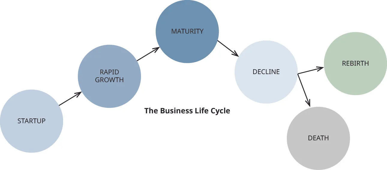 Business lifecycle from startup to rapid growth to maturity to decline and then to either rebirth or death.