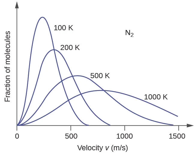 A graph with four positively or right-skewed curves of varying heights is shown. The horizontal axis is labeled, “Velocity v ( m divided by s ).” This axis is marked by increments of 500 beginning at 0 and extending up to 1500. The vertical axis is labeled, “Fraction of molecules.” The label, “N subscript 2,” appears in the open space in the upper right area of the graph. The tallest and narrowest of these curves is labeled, “100 K.” Its right end appears to touch the horizontal axis around 700 m per s. It is followed by a slightly wider curve which is labeled, “200 K,” that is about three quarters of the height of the initial curve. Its right end appears to touch the horizontal axis around 850 m per s. The third curve is significantly wider and only about half the height of the initial curve. It is labeled, “500 K.” Its right end appears to touch the horizontal axis around 1450 m per s. The final curve is only about one third the height of the initial curve. It is much wider than the others, so much so that its right end has not yet reached the horizontal axis. This curve is labeled, “1000 K.”