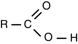 R is single bonded to C, C is double bonded to one O and single bonded to another O. The second O is single bonded to H.