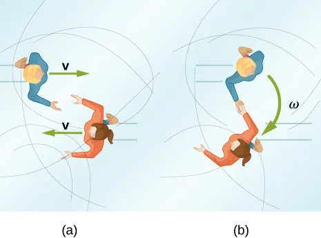 La Figura a, a la izquierda, es un dibujo de dos patinadores sobre hielo, vistos desde arriba y moviéndose a rapidez v uno hacia el otro a lo largo de líneas paralelas. El de arriba patina hacia la derecha y el de abajo hacia la izquierda, y se separan para que sus manos se encuentren al momento en que se cruzan. La Figura b, a la derecha, muestra a los patinadores tomados de la mano y moviéndose juntos en un círculo con velocidad angular omega. Su movimiento es en el sentido de las agujas del reloj, visto desde arriba.