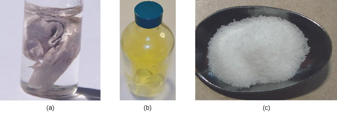 Three pictures are shown and labeled “a,” “b,” and “c,” from left to right. Image a shows a glass jar with a lid that is full of a clear, colorless liquid in which a silver solid is suspended. Image b depicts a glass bottle with a blue lid that is full of a yellow-green gas. Image c shows a black dish that is full of a white, crystalline solid.