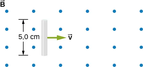 La figura muestra la varilla de 5 cm de longitud que se mueve hacia la derecha con una velocidad constante v en un campo magnético perpendicular uniforme.