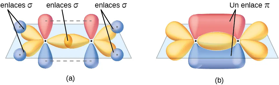 Se muestran dos diagramas marcados como "a" y "b". El diagrama a muestra dos átomos de carbono con tres orbitales púrpura en forma de globo dispuestos en un plano alrededor de ellos y dos orbitales rojos en forma de globo dispuestos vertical y perpendicularmente al plano. Hay una superposición de dos de los orbitales púrpura entre los dos átomos de carbono, y los otros cuatro orbitales púrpura que miran hacia el exterior de la molécula se muestran interactuando con orbitales azules esféricos de cuatro átomos de hidrógeno. El diagrama b representa una imagen similar al diagrama a, pero los orbitales rojos y verticales están interactuando por encima y por debajo del plano de la molécula para formar dos áreas marcadas como "Un enlace pi".