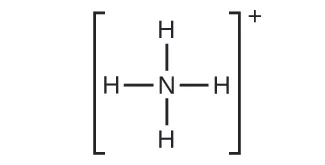 Una estructura de Lewis muestra un átomo de nitrógeno con enlace simple con cuatro átomos de hidrógeno. La estructura está entre corchetes con un signo positivo en superíndice.