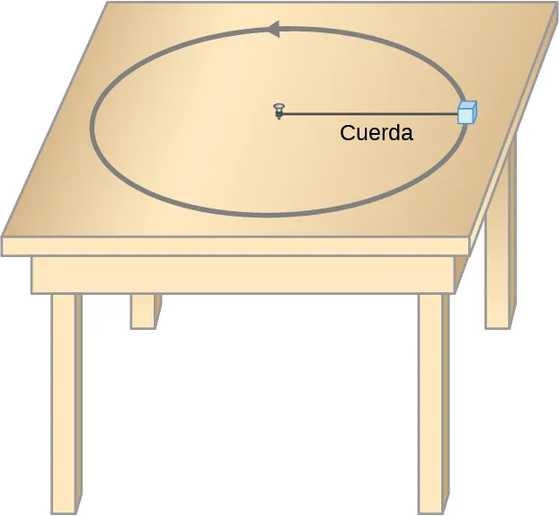 Ilustración de una masa que se mueve en una trayectoria circular sobre una mesa. La masa está unida a una cuerda que se clava en el centro del círculo a la mesa en el otro extremo.