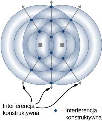 Rysunek przedstawia fale jako okręgi promieniowania z dwóch punktów leżących jeden obok drugiego. Punkty gdzie okręgi przecinają się są podświetlone i oznaczone jako interferencja dodatnia. Strzałki łączące punkty dodatniej interferencji promieniowania skierowane są na zewnątrz. Oznaczony jest kierunek dodatniej interferencji.