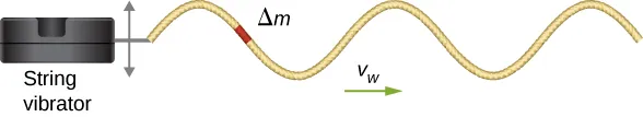Figure shows a box to the left, labeled string vibrator. A string is attached to this and forms a transverse wave that propagates towards the right with velocity v subscript w. A small portion of the string is highlighted and is labeled delta m.