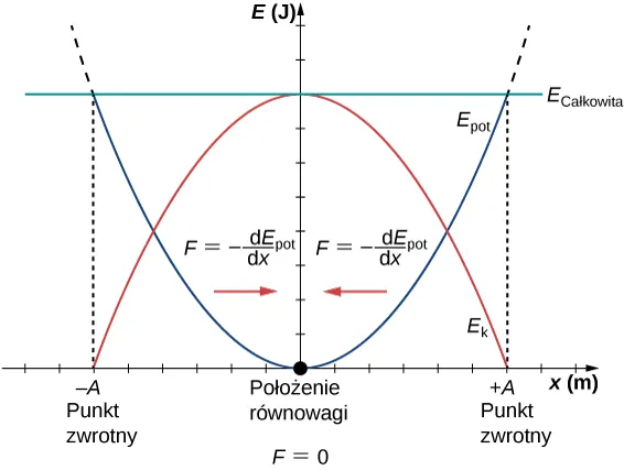 Wykres energii E w dżulach (oś pionowa), w funkcji położenia x w metrach (oś pozioma). Na osi poziomej oznaczono dla x=0 położenie równowagi, gdzie F=0. Położenia x=-A i x=+A są oznaczone jako punkty zwrotne. Parabola narysowana na czerwono i oznaczona jako E sub k, osiąga wartość maksymalną E = E sub całkowita dla x = 0 i wartość zerową dla x = -A i x = +A. Pozioma zielona linia przedstawia wartości E całkowitej. Parabola narysowana na niebiesko przecina zieloną linię w punktach odpowiadających E = E sub całkowita dla x = -A i x = +A. Fragment wykresu na lewo od x = 0 jest oznaczony czerwoną strzałką skierowaną w prawo i równaniem F równa się minus pochodna E sub pot po x. Obszar wykresu na prawo od x = 0 jest oznaczony czerwoną strzałką skierowaną w lewo i równaniem F równa się minus pochodna E sub pot po x.