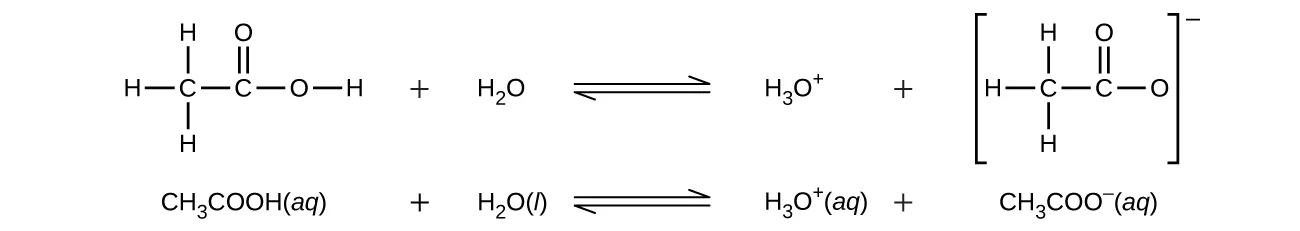 Esta imagen contiene dos reacciones de equilibrio. La primera muestra un átomo de C unido a tres átomos de H y a otro átomo de C. El segundo átomo de C tiene un doble enlace con un átomo de O y también forma un enlace simple con otro átomo de O. El segundo átomo de O está unido a un átomo de H. Hay un signo de suma y luego la fórmula molecular H subíndice 2 O. Una flecha de equilibrio sigue a H subíndice 2 O. A la derecha de la flecha está H subíndice 3 O superíndice signo positivo. Hay un signo de suma. La estructura final muestra un átomo de C unido a los tres átomos de H y a otro átomo de C. Este segundo átomo de C tiene un doble enlace con un átomo de O y un enlace simple con otro átomo de O. Toda la estructura está entre corchetes y un superíndice signo negativo aparece fuera de los corchetes. La segunda reacción muestra C H subíndice 3 C O O H ( a q ) más H subíndice 2 O ( l ) flecha de equilibrio H subíndice 3 O ( a q ) más C H subíndice 3 C O O superíndice signo negativo ( a q ).