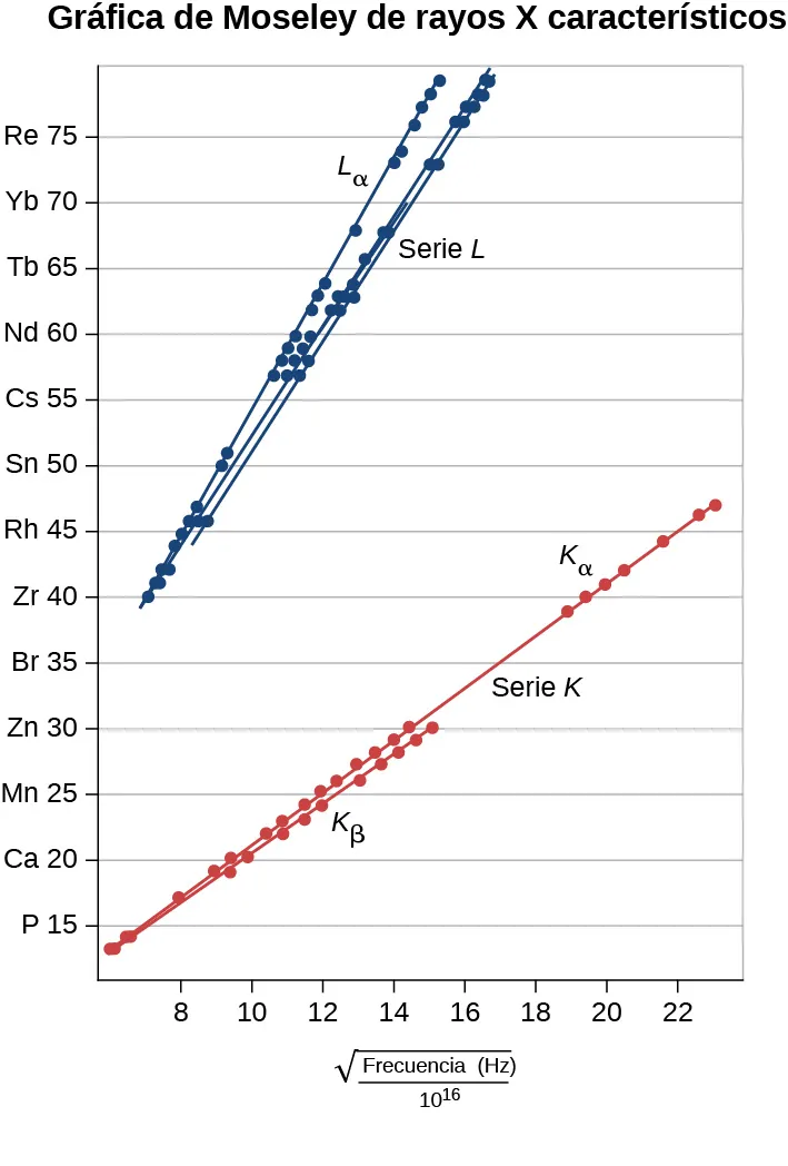 El diagrama de Moseley de los rayos X característicos muestra un gráfico del número atómico como una función de la raíz cuadrada de las frecuencias en Hertz dividida por 10 a la 16. La escala vertical va de 0 a 80 y etiqueta los elementos cuyo número atómico es un múltiplo de 5: P, C a, M n, Z n, B r, Z r, R h, S n, C s, N d, T b, Y b y R e. La escala horizontal va de 0 a 24. Los datos caen a lo largo de varias líneas rectas, correspondientes a las series. La serie L, en azul, está por encima de la serie K, en rojo, y todas las líneas L son más pronunciadas que las líneas K. La serie L sub alfa tiene la pendiente más pronunciada de la serie L. Se muestran dos curvas de la serie K, con la pendiente K sub alfa ligeramente más pronunciada que la pendiente K sub beta.