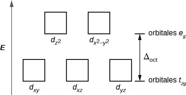 Se muestra un diagrama con una flecha vertical que apunta hacia arriba a lo largo de la altura del diagrama en su lado izquierdo. Esta flecha está marcada como "E". A la derecha de esta flecha hay dos filas de cuadrados delineados en amarillo. La primera fila tiene tres cuadrados espaciados uniformemente y marcados de izquierda a derecha, "d subíndice (x y)", "d subíndice (x z)" y "d subíndice (y z)". La segunda fila está colocada justo encima de la primera e incluye dos cuadrados espaciados uniformemente marcados como "d subíndice (z superíndice 2 )" y "d subíndice (x superíndice 2 menos y superíndice 2)". En el extremo derecho del diagrama se dibuja un corto segmento de línea horizontal justo a la derecha del lado inferior del cuadrado más a la derecha. Una flecha de doble cara se extiende desde este segmento de línea hasta un segundo segmento de línea horizontal directamente por encima del primero y a la derecha del lado inferior de los cuadrados de la segunda fila. La flecha está marcada como "delta mayúscula subíndice oct.". El segmento de la línea horizontal inferior está marcado de forma parecida como "orbitales t subíndice 2 g" y el segmento de la línea superior como "orbitales e subíndice g".