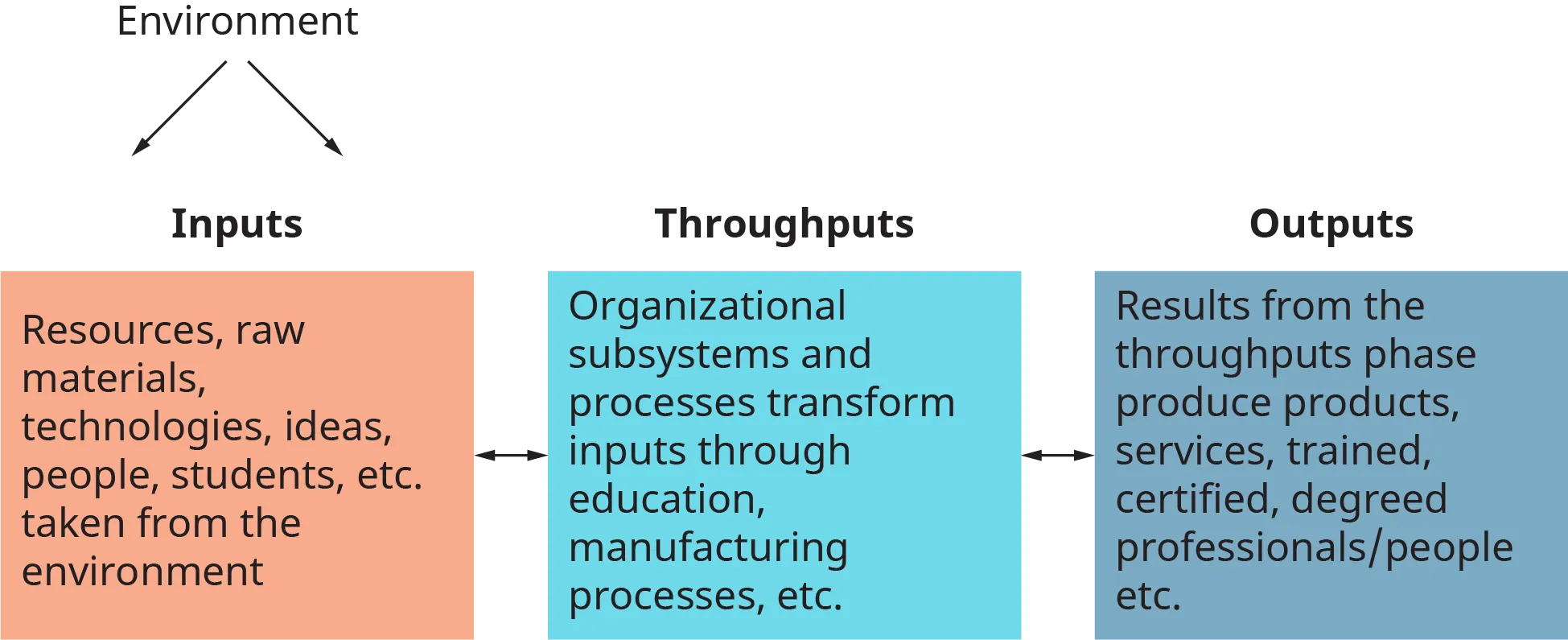 A diagram illustrates the open system model of an organization.