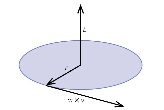 The diagram shows a blue circle. At the center, there is an arrow labeled, “L,” which points upward. Another arrow labeled, “r,” points from the center to the edge of the circle. Another arrow labeled, “m times v” extends from the point where the r-labeled arrow reaches the edge of the circle.