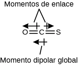 Una imagen muestra un átomo de carbono unido con doble enlace a un átomo de azufre y a un átomo de oxígeno que están dispuestos en un plano horizontal. Dos flechas se alejan del centro de la molécula en direcciones opuestas y se dibujan horizontalmente como la molécula. La flecha de la izquierda es más grande que la de la derecha. Estas flechas están marcadas como "momentos de enlace", y una flecha orientada a la izquierda debajo de la molécula está marcada como "momento dipolar global".