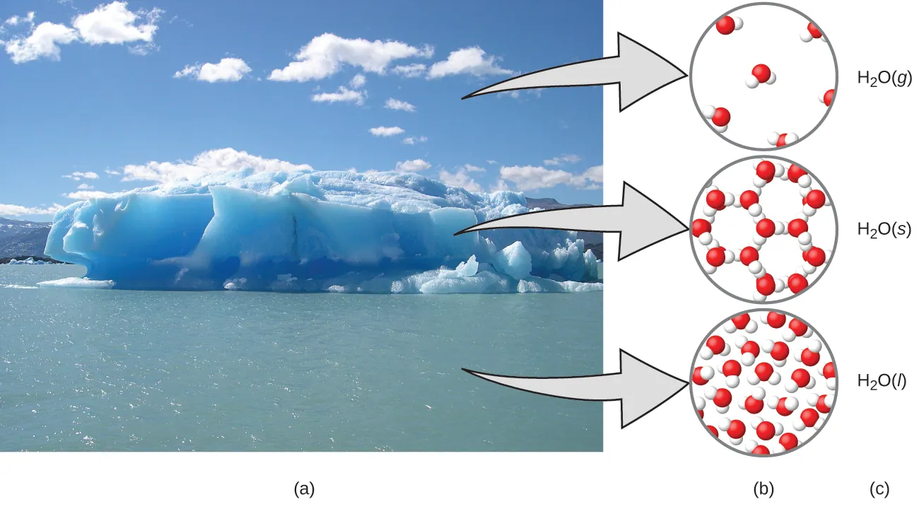 Figure A shows a photo of an iceberg floating in a sea has three arrows. Each arrow points to figure B, which contains three diagrams showing how the water molecules are organized in the air, ice, and sea. In the air, which contains the gaseous form of water, H subscript 2 O gas, the water molecules are disconnected and widely spaced. In the ice, which is the solid form of water, H subscript 2 O solid, the water molecules are bonded together into rings, with each ring containing six water molecules. Three of these rings are connected to each other. In the sea, which is the liquid form of water, H subscript 2 O liquid, the water molecules are very densely packed. The molecules are not bonded together.