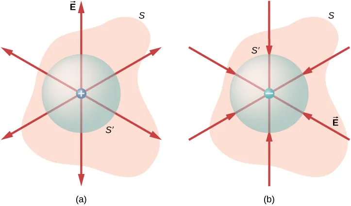 Figure a has an irregular shape labeled S. Within it is a circle labeled S prime. At its center is a small circle labeled plus. Six arrows radiate outward from here in different directions. Figure b has the same irregular shape S and circle S prime. At its center is a small circle labeled minus. Six arrows from different directions radiate inward to minus.