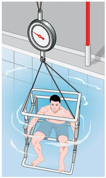 The weight of a person can be determined while submerged in a fat tank. Based on this, the percentage of body weight can be calculated.