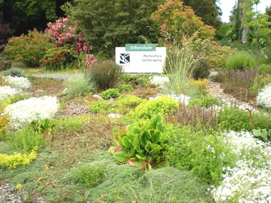  Photo shows a landscaped garden with a variety of flowers and bushes.