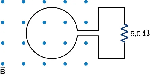 La figura muestra un bucle con el flujo magnético perpendicular a la misma. El bucle está conectado a un resistor de 5 ohmios.