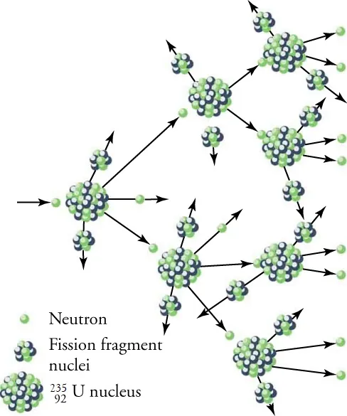 The figure shows chain reaction after fission as the neutrons released after fission of a nucleus cause fission in other nuclei.