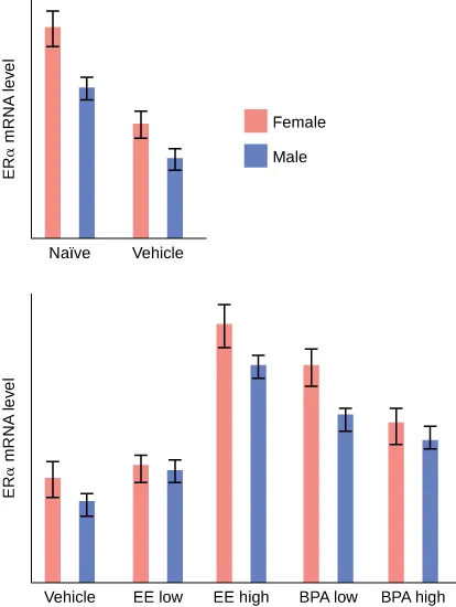 This figure is a bar graph. The vertical line is labeled  ER mRNA level. These bars are pink for female and blue for male. From left to right the results are. For Naïve there is long pink line, and a shorter blue line. For vehicle there is a shorter pink line, and a even shorter blue line. For the second graph the vertical line this time reads ER mRNA level.  The horizontal axis reads Vehicle, EE low, EE high, BPA low, PBA high. From left to right they are listed. The first is vehicle and there is a longer pink line and a shorter blue line. For EE low there is a slightly longer pink line than blue line. For EE high there is a long pink line with a slightly shorter pink line. For BPA there is a medium pink line with a slightly shorter blue line. And for BPA high there is a slightly shorter pink line with a slightly shorter blue line.