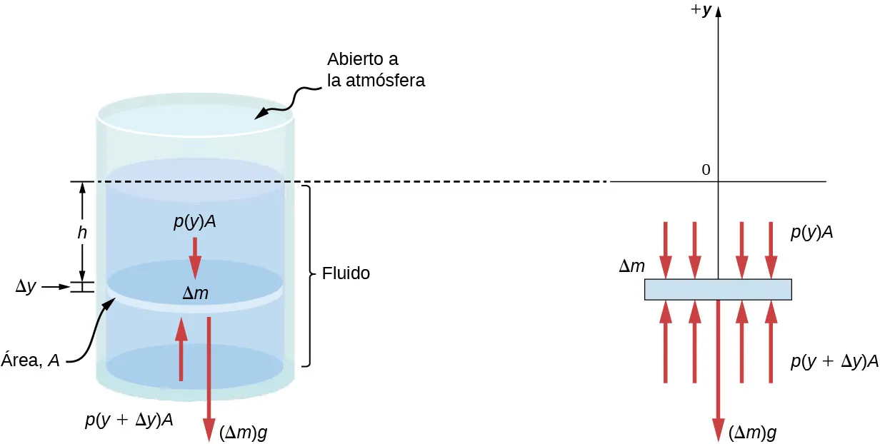 La figura A es un dibujo esquemático de un cilindro lleno de fluido y abierto a la atmósfera por la parte superior. Se coloca en el fluido un disco de masa Delta m, superficie A idéntica a la superficie del cilindro y altura Delta y. Por encima del disco se encuentra un fluido de altura h. La figura B es un dibujo esquemático de la fuerza Delta m x g expresada por el disco, p (y) x A aplicada por el fluido por encima del disco, y p (y + Delta y) x A aplicada por el fluido por debajo del disco.
