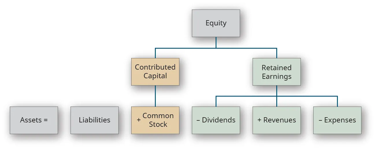A hierarchical group of boxes. The top box is labeled Equity. The next row connected by a line has two boxes, labeled left to right: Contributed Capital and Retained Earnings. There are three boxes below Contributed Capital, labeled left to right: Assets equal; Liabilities; plus Common Stock. Common Stock is connected to Contributed Capital by a line while Assets equal and Liabilities are not. There are three boxes below Retained Earnings connected by a line, labeled left to right: minus Dividend; plus Revenues; minus Expenses.