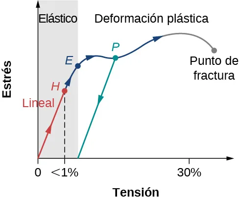 La figura muestra un gráfico de estrés-tensión. Cuando la tensión es inferior al 1 %, punto H, el estrés crece linealmente. La deformación plástica, marcada como P, tiene lugar entre el 1 % y el 30 %. El mayor aumento de la tensión provoca la fractura.
