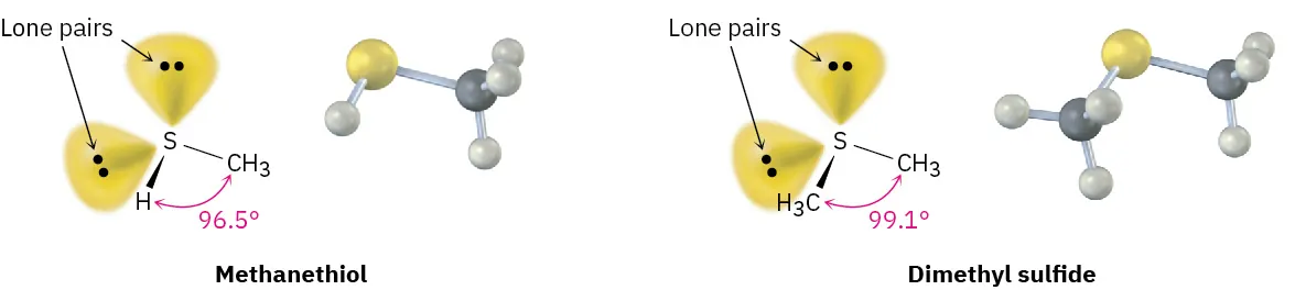 1.10 Hybridization of Nitrogen, Oxygen, Phosphorus, and Sulfur ...